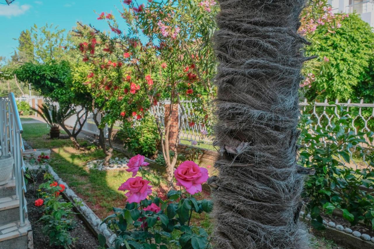 Vila Adriatik Ulcinj Exterior foto